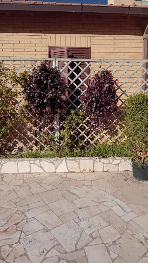 Rosilienza Suites Private Spa, Patio Garden Free Trasfer To & From Airport Fiumicino Exteriér fotografie